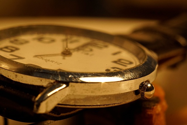 watchmaker logbook notes and timegrapher readings in low light